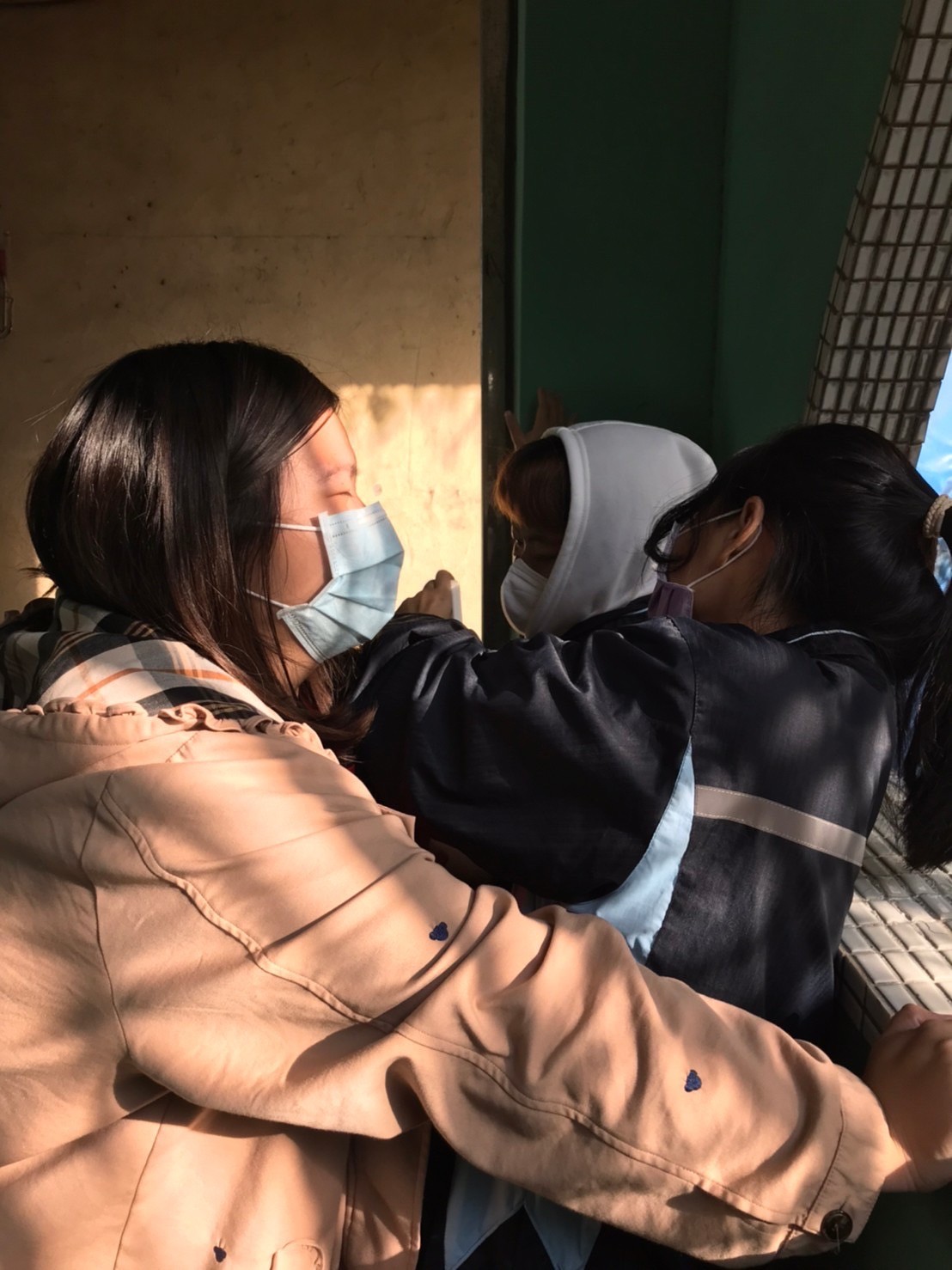 記得曬日光浴才不會發霉