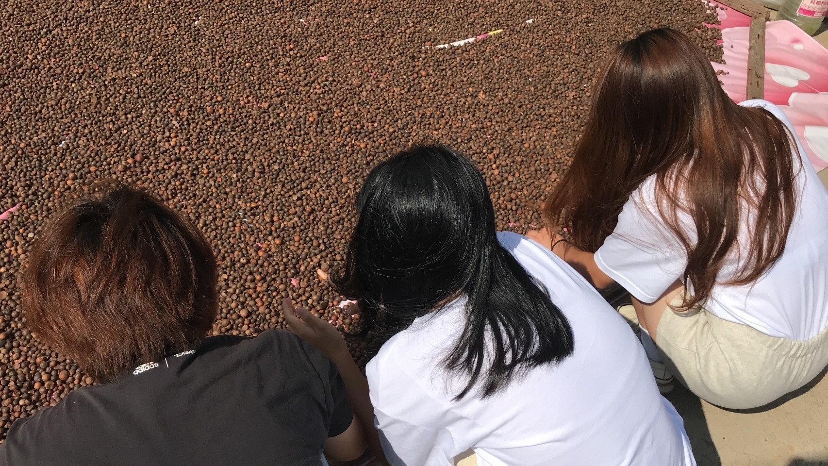 蘇蘇家的苦茶籽!!參訪那天Red Lee沒有來